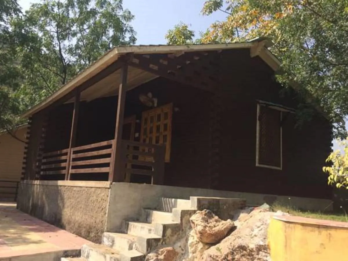 The Space Jungle Retreat Hotel Udaipur India